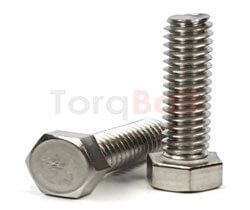 Zeron 100 Hex Cap Screws