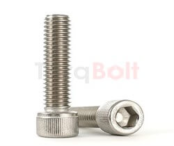 Zeron 100 Socket Head Cap Screws